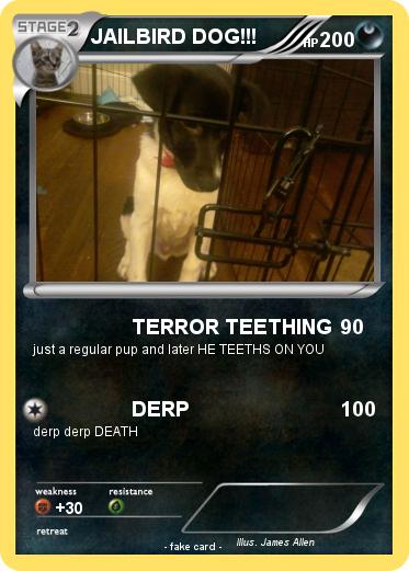 Pokemon JAILBIRD DOG!!!