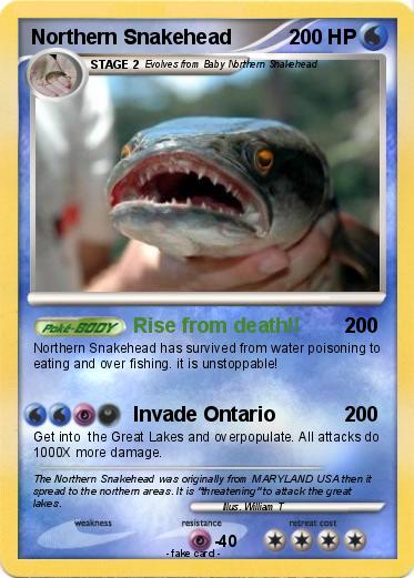 Pokemon Northern Snakehead