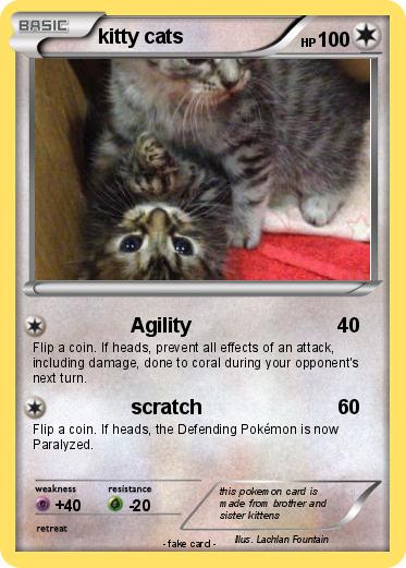 Pokemon kitty cats