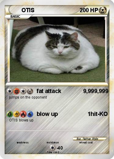 Pokemon OTIS