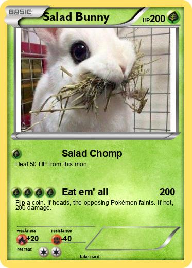 Pokemon Salad Bunny