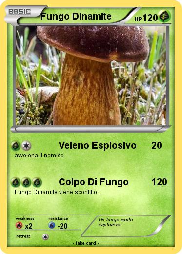 Pokemon Fungo Dinamite