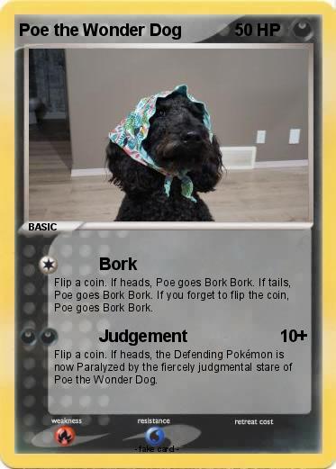 Pokemon Poe the Wonder Dog