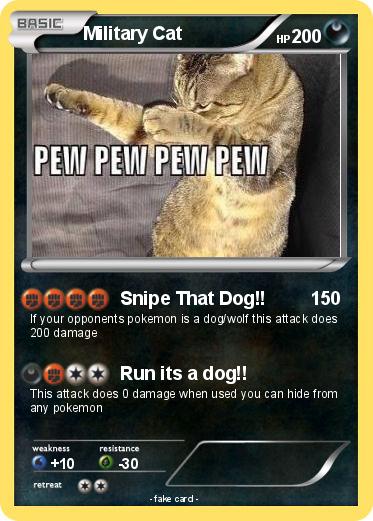 Pokemon Military Cat