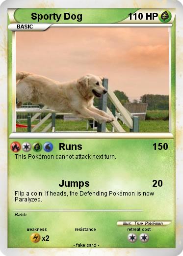 Pokemon Sporty Dog