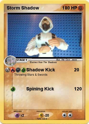 Pokemon Storm Shadow