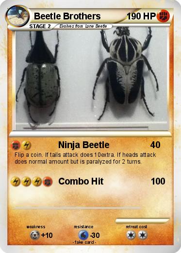 Pokemon Beetle Brothers