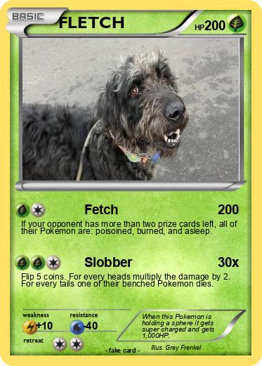 Pokemon FLETCH