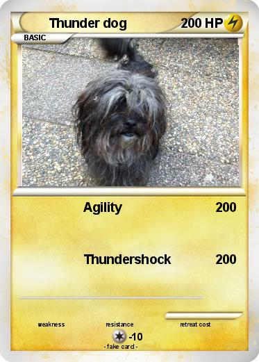 Pokemon Thunder dog