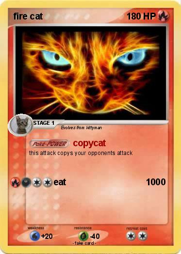 Pokemon fire cat