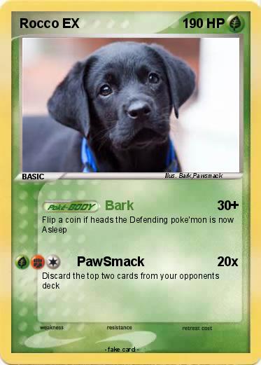Pokemon Rocco EX
