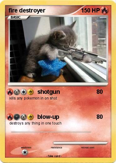 Pokemon fire destroyer