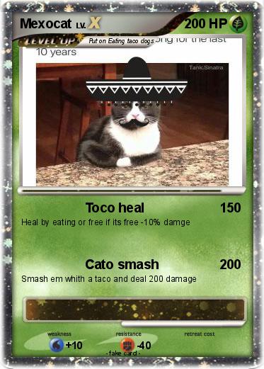 Pokemon Mexocat