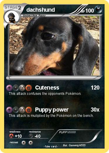 Pokemon dachshund