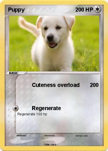 Pokemon Puppy