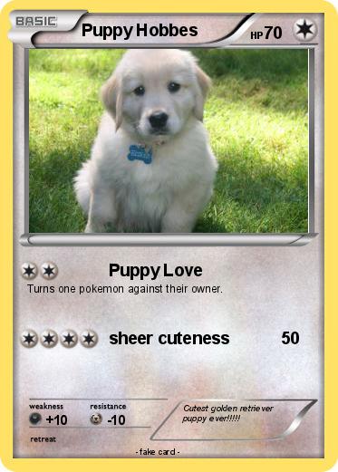 Pokemon Puppy Hobbes