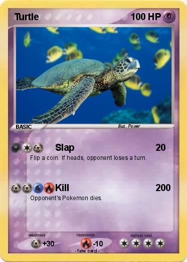 Pokemon Turtle
