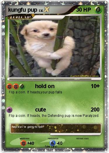 Pokemon kungfu pup