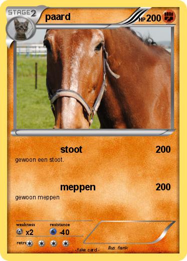 Pokemon paard