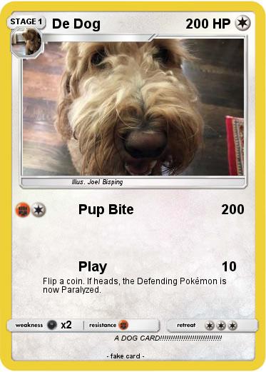 Pokemon De Dog