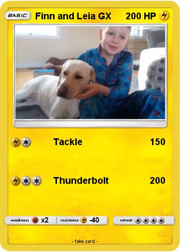 Pokemon Finn and Leia GX