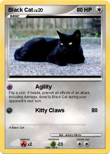 Pokemon Black Cat