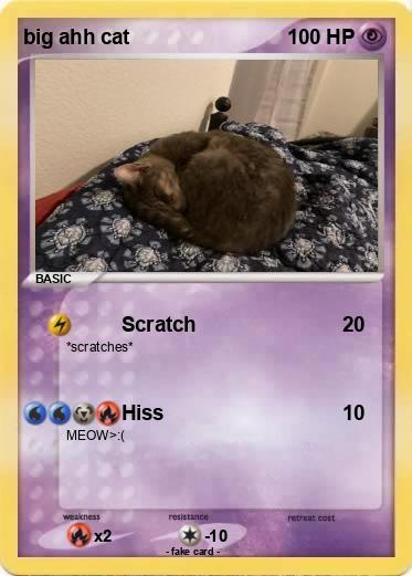 Pokemon big ahh cat