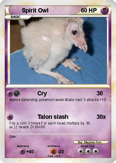 Pokemon Spirit Owl