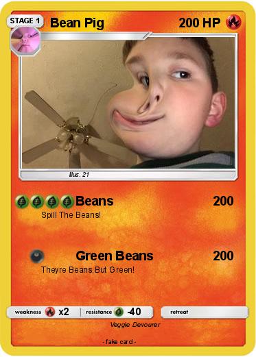 Pokemon Bean Pig