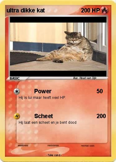 Pokemon ultra dikke kat
