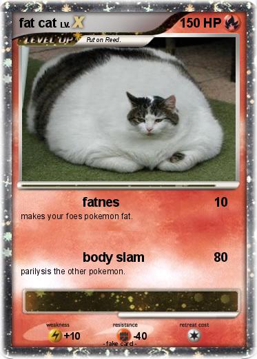Pokemon fat cat
