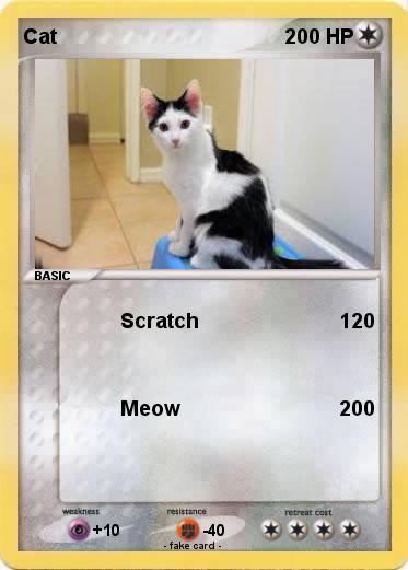 Pokemon Cat