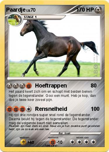 Pokemon Paardje