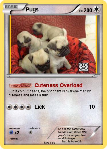 Pokemon Pugs