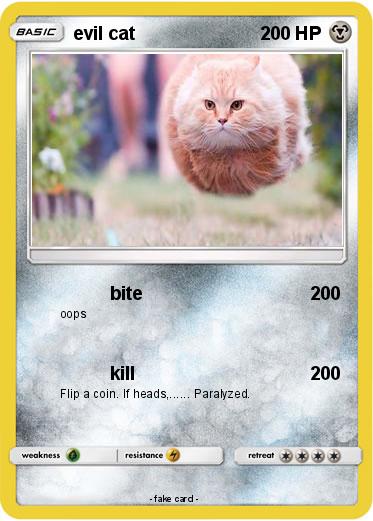 Pokemon evil cat