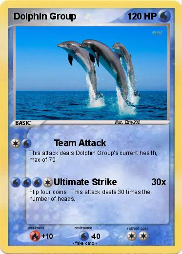 Pokemon Dolphin Group
