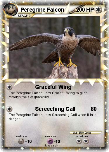 Pokemon Peregrine Falcon