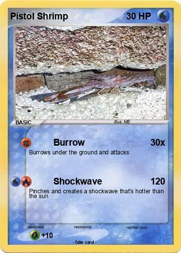 Pokemon Pistol Shrimp