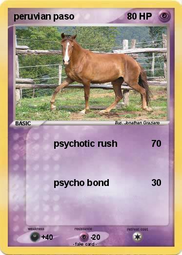 Pokemon peruvian paso