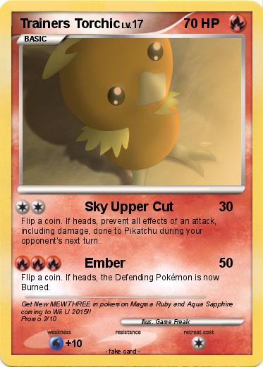 Pokemon Trainers Torchic