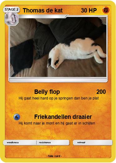 Pokemon Thomas de kat