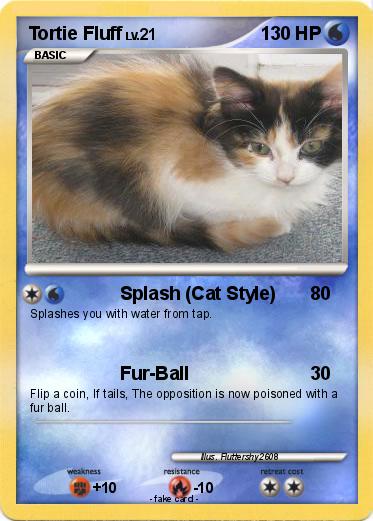 Pokemon Tortie Fluff