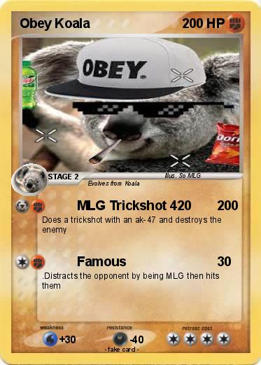 Pokemon Obey Koala