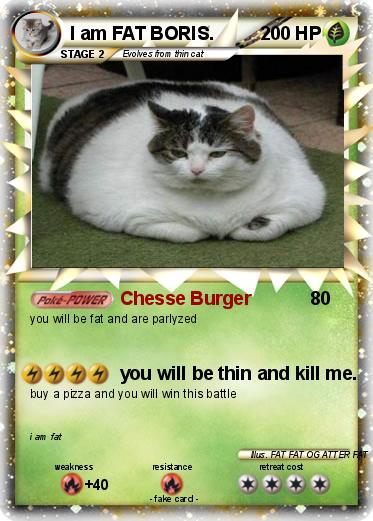 Pokemon I am FAT BORIS.