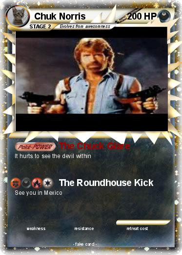 Pokemon Chuk Norris