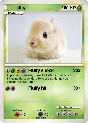 Pokemon kitty