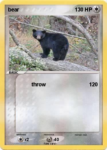 Pokemon bear