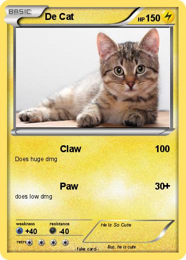 Pokemon De Cat