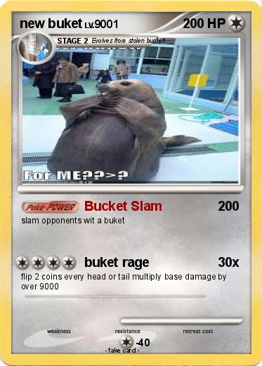Pokemon new buket