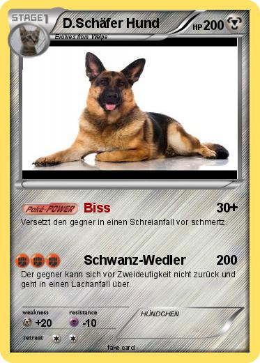 Pokemon D.Schäfer Hund